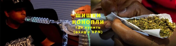 молекула духа Карпинск