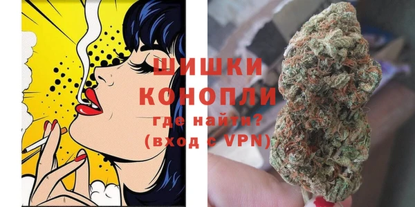 молекула духа Карпинск