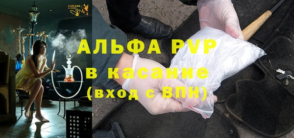 молекула духа Карпинск