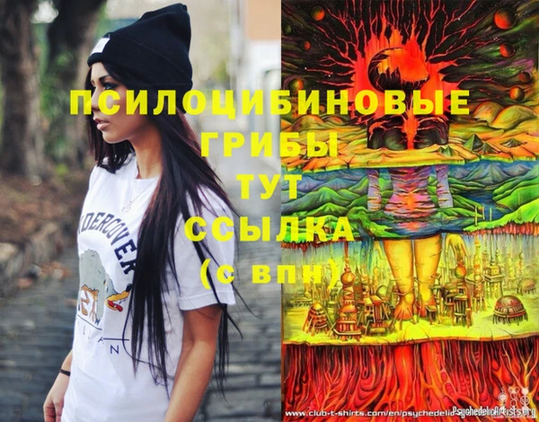 2c-b Касимов