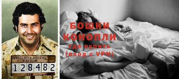 молекула духа Карпинск