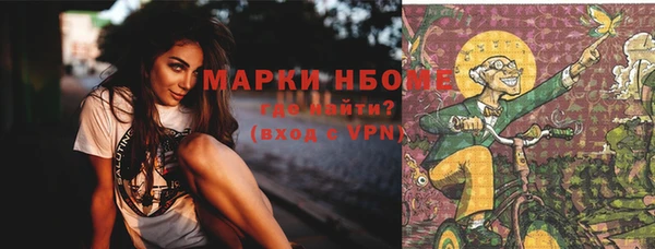 молекула духа Карпинск