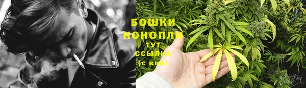 2c-b Касимов