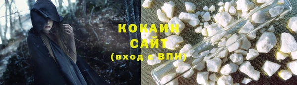 молекула духа Карпинск